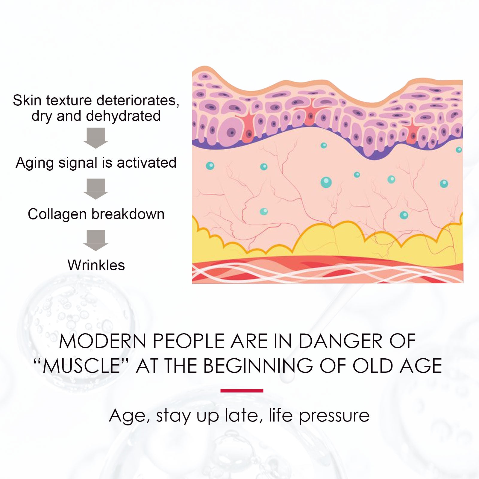 Rosehip Oil – Natural Hydrating Face & Skin Care Oil
