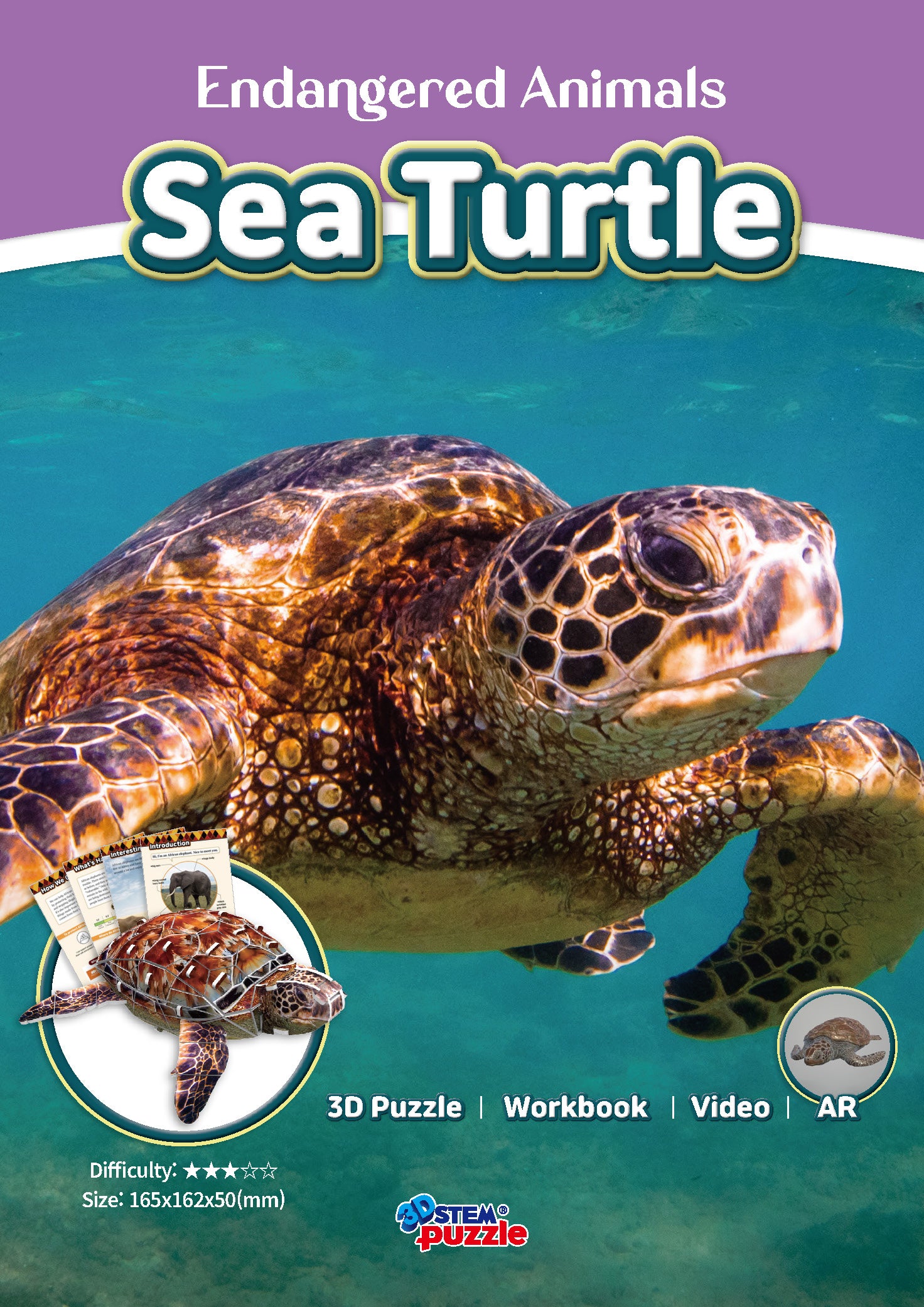 Sea Turtle 3D STEM Puzzle for Kids – Educational Marine Animal Kit with AR