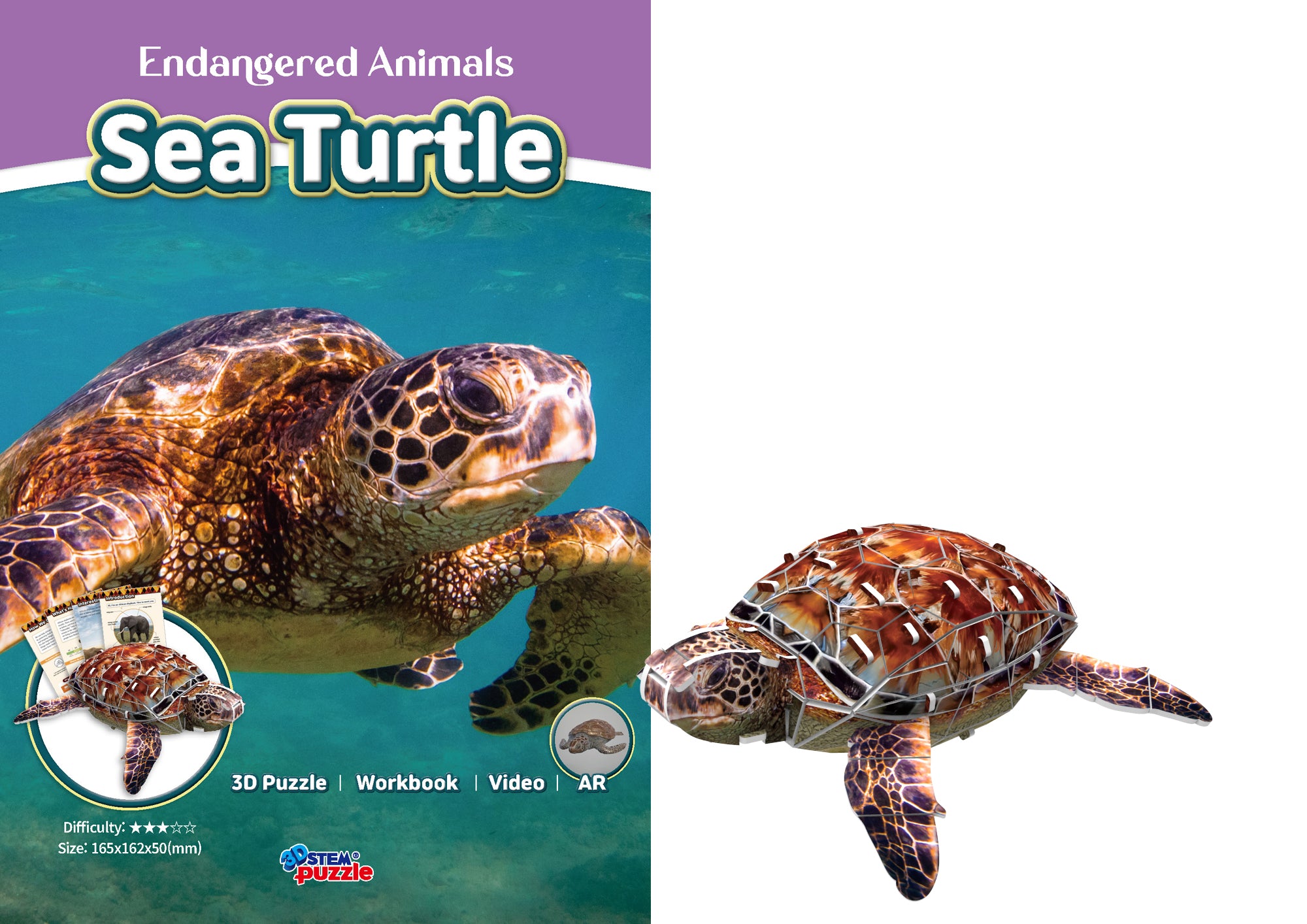 Sea Turtle 3D STEM Puzzle for Kids – Educational Marine Animal Kit with AR