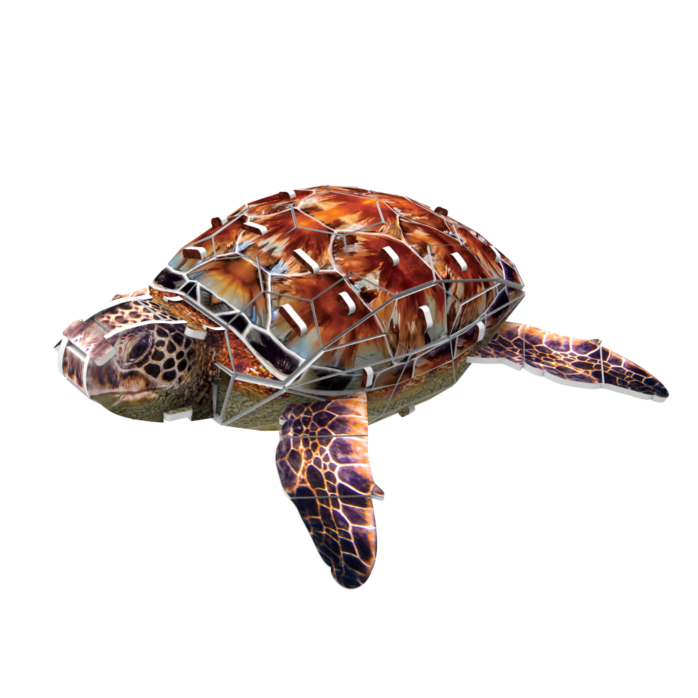 Sea Turtle 3D STEM Puzzle for Kids – Educational Marine Animal Kit with AR
