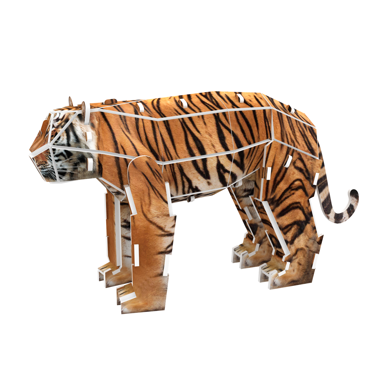 Tiger 3D STEM Puzzle for Kids – Educational Animal Kit with AR