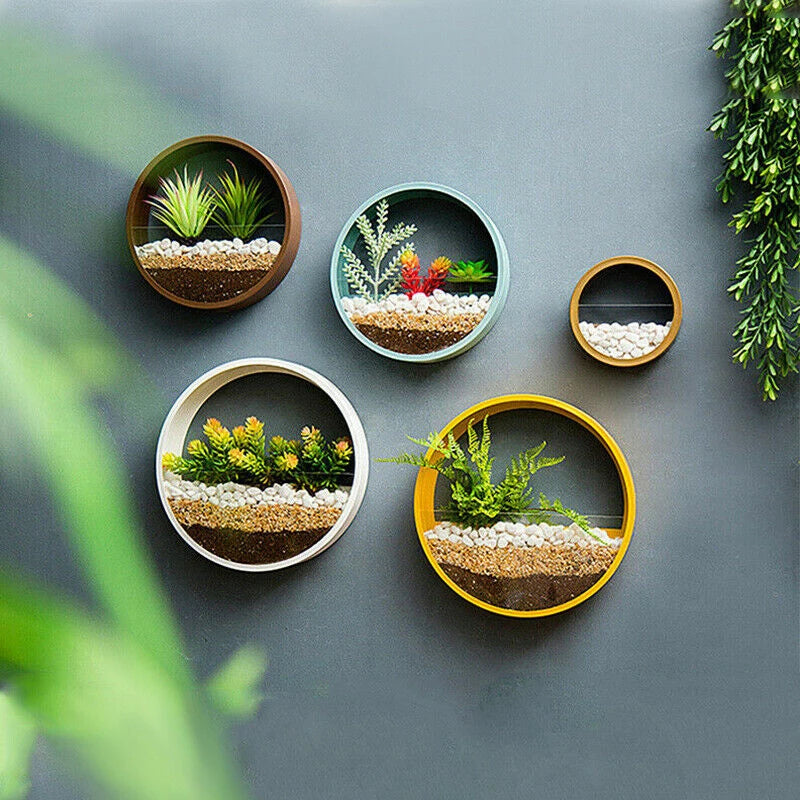 Round Wall Planter Vase – Modern Hanging Plant Pot Wall Decor