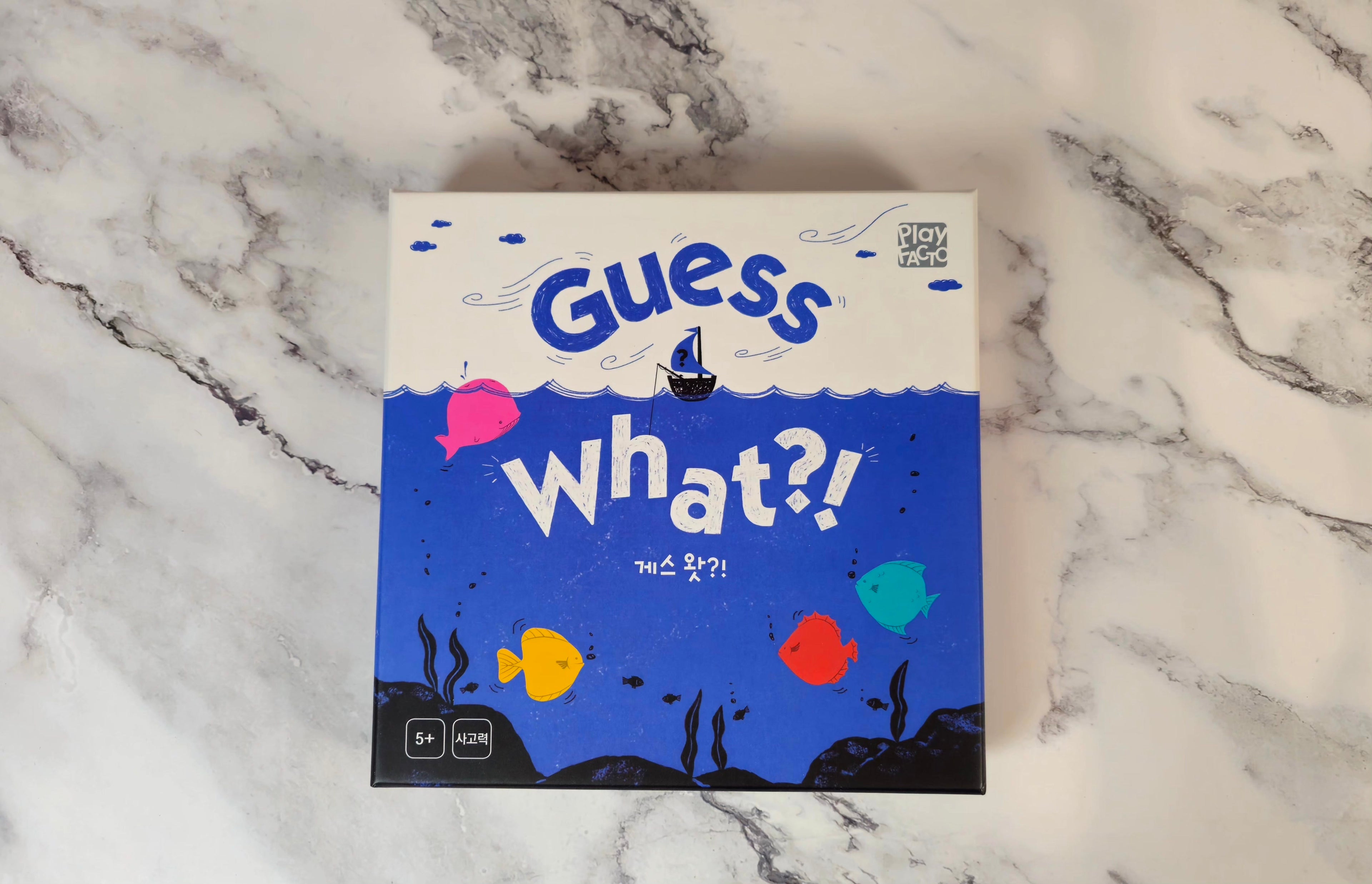 Guess What?! Logic Dice Game for Kids & Adults Ages 5+ | PlayFACTO