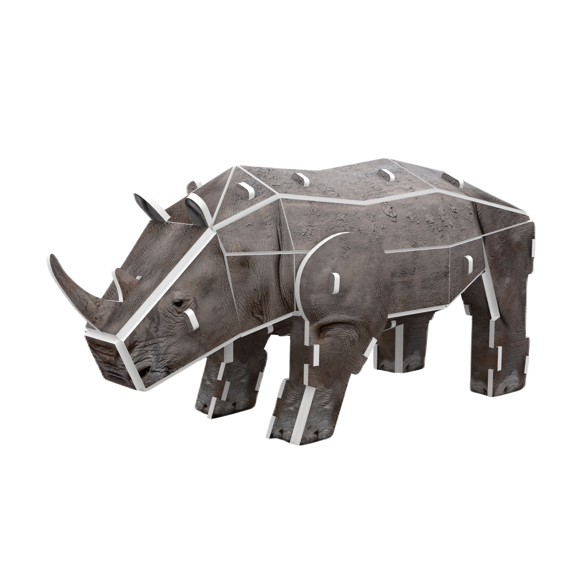 Black Rhinoceros 3D STEM Puzzle for Kids – Endangered Animals Educational Kit