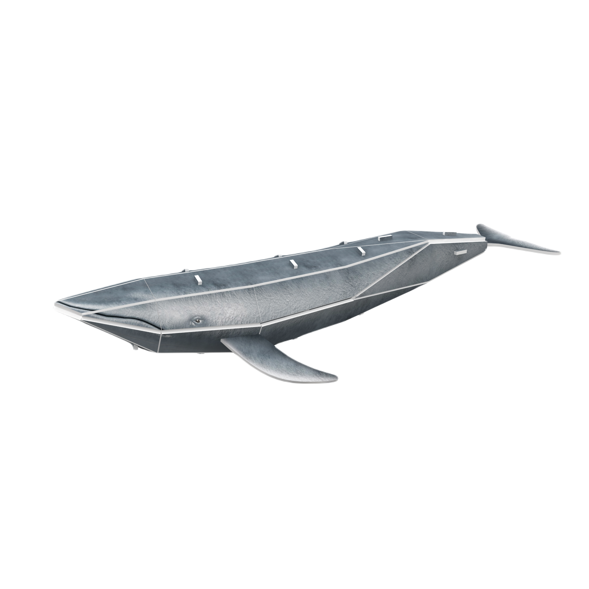 Blue Whale 3D STEM Puzzle for Kids – Endangered Animals Educational Kit