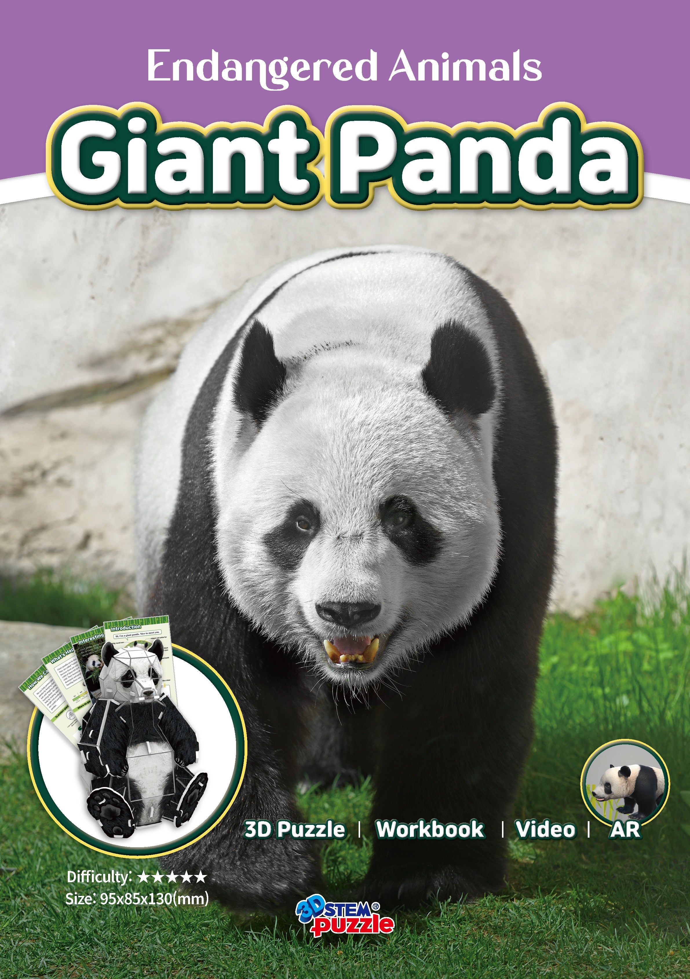 Giant Panda 3D STEM Puzzle for Kids – Educational Animal Kit with AR