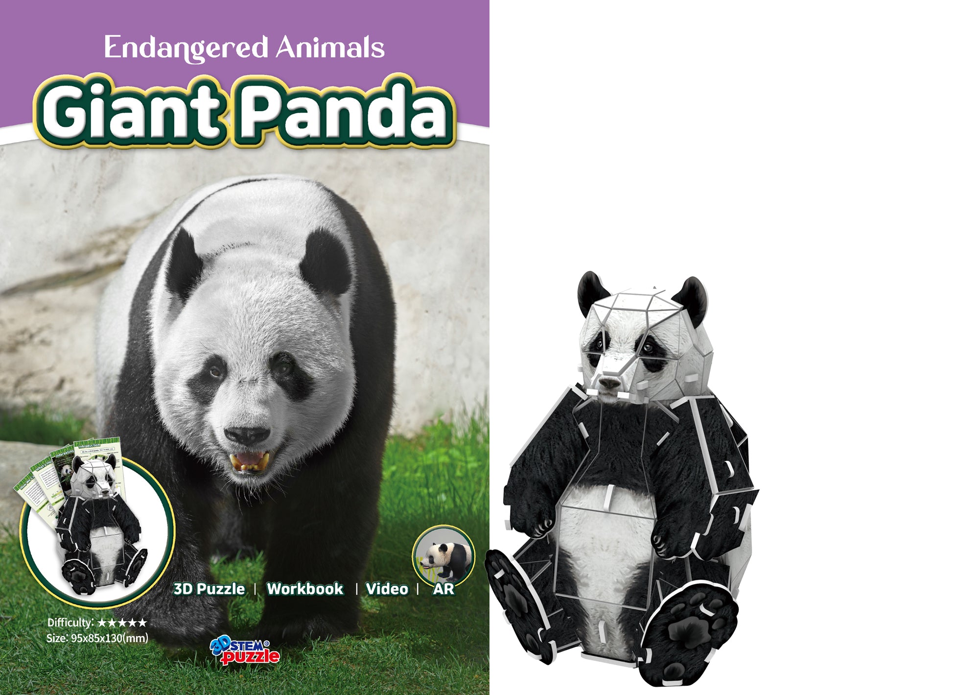 Giant Panda 3D STEM Puzzle for Kids – Educational Animal Kit with AR