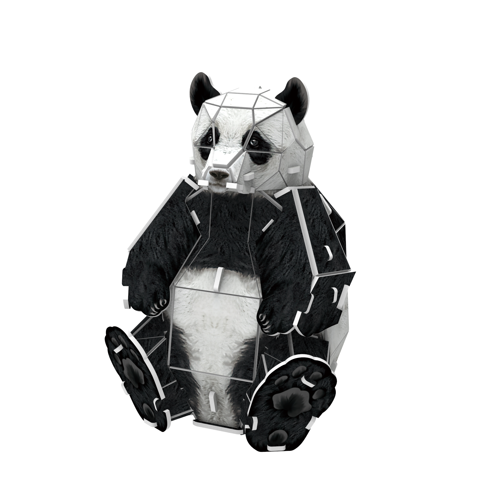 Giant Panda 3D STEM Puzzle for Kids – Educational Animal Kit with AR