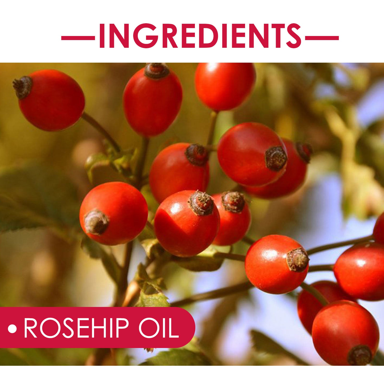 Rosehip Oil – Natural Hydrating Face & Skin Care Oil