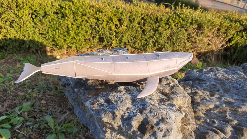 Blue Whale 3D STEM Puzzle for Kids – Endangered Animals Educational Kit