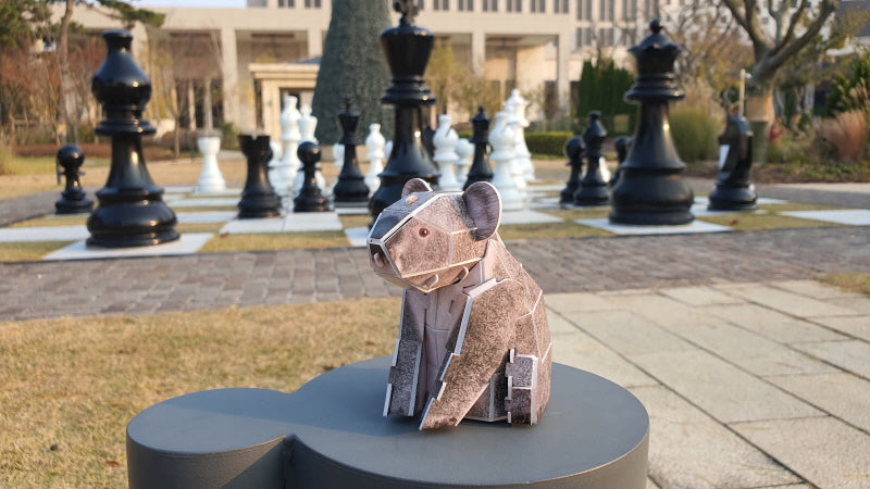 Koala 3D STEM Puzzle for Kids – Educational Animal Kit with AR