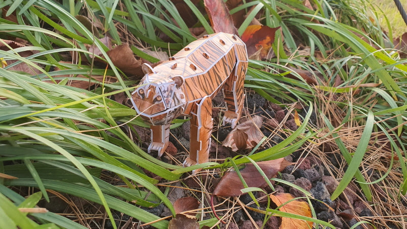 Tiger 3D STEM Puzzle for Kids – Educational Animal Kit with AR