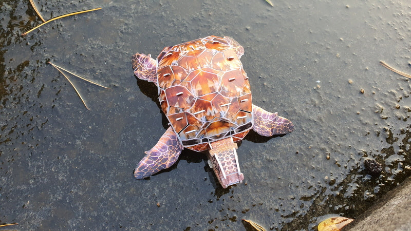 Sea Turtle 3D STEM Puzzle for Kids – Educational Marine Animal Kit with AR