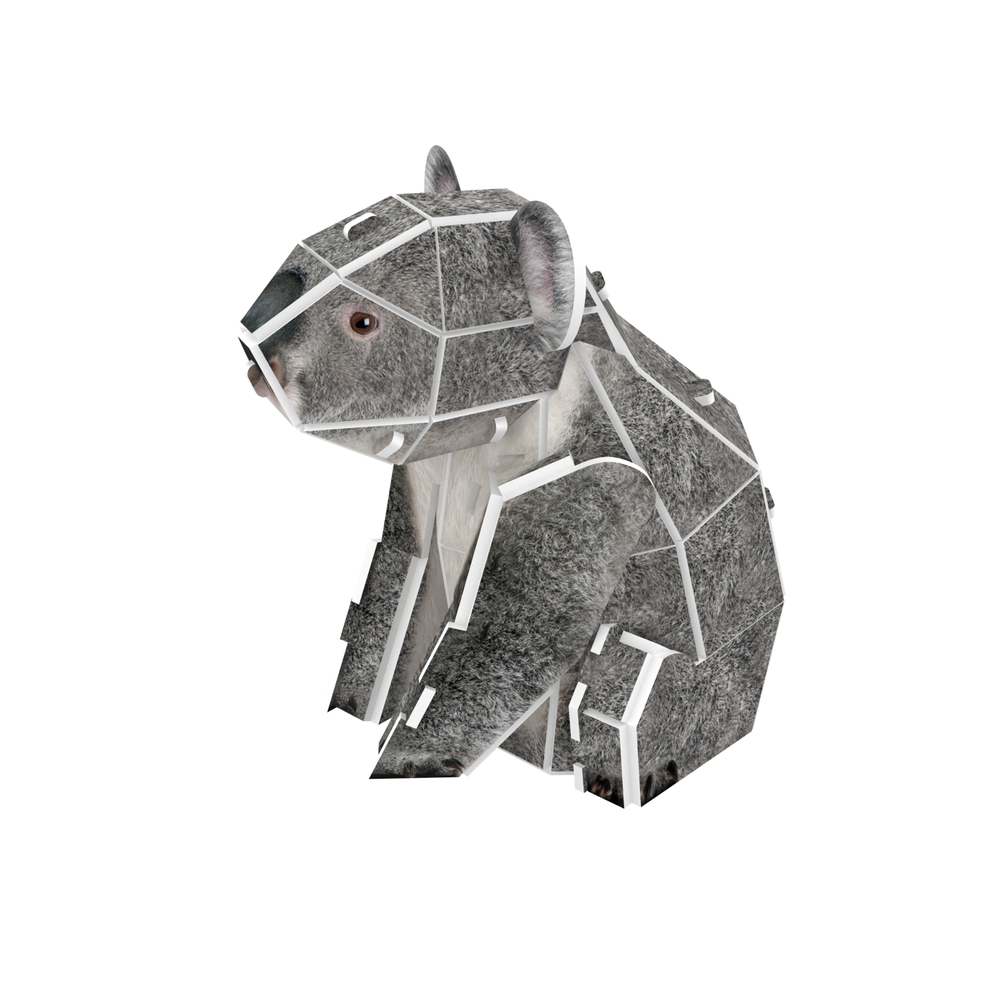 Koala 3D STEM Puzzle for Kids – Educational Animal Kit with AR