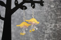 Yellow&Purple Flower Earrings