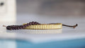 Yellow Woven Bracelet & Purple Glass Bead Bracelet – Handmade Two-Piece Set